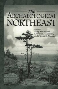 bokomslag The Archaeological Northeast