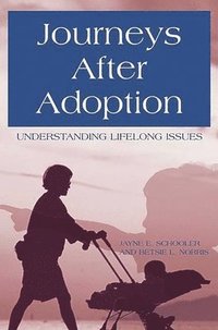 bokomslag Journeys After Adoption