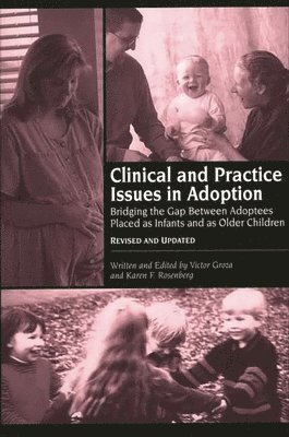 Victor K. Groza, Karen F. Rosenberg, Victor Groza, Karen F. Rosenberg - Clinical and Practice Issues in Adoption, Häftad