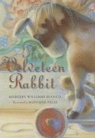 bokomslag The Velveteen Rabbit