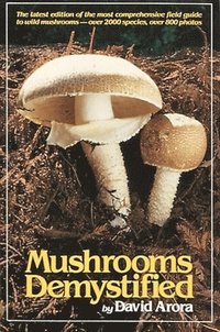 bokomslag Mushrooms Demystified