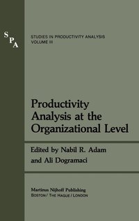 bokomslag Productivity Analysis at the Organizational Level