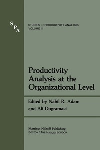 bokomslag Productivity Analysis at the Organizational Level