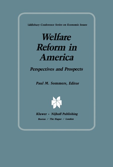 bokomslag Welfare Reform in America