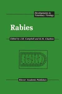 bokomslag Rabies