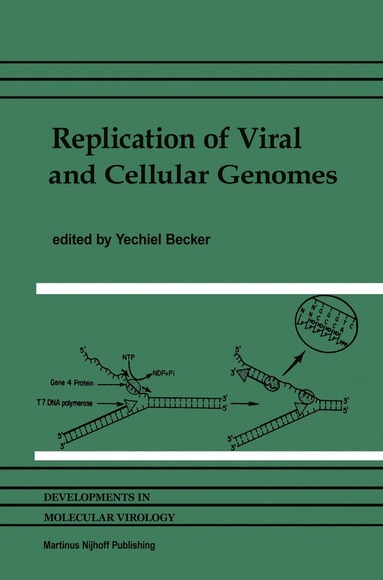 bokomslag Replication of Viral and Cellular Genomes