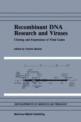bokomslag Recombinant DNA Research and Viruses