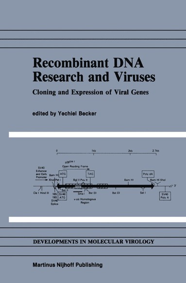 bokomslag Recombinant DNA Research and Viruses