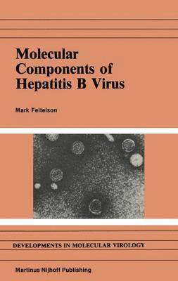 Molecular Components of Hepatitis B Virus 1