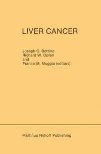 bokomslag Liver Cancer