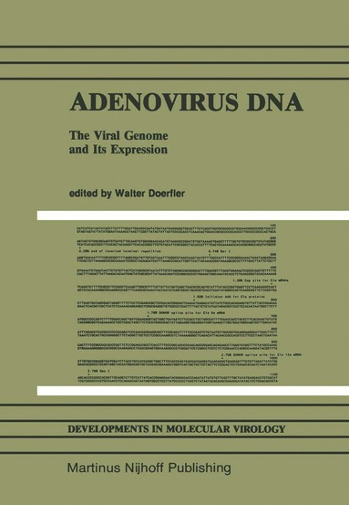 bokomslag Adenovirus DNA