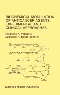 bokomslag Biochemical Modulation of Anticancer Agents: Experimental and Clinical Approaches