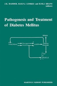 bokomslag Pathogenesis and Treatment of Diabetes Mellitus