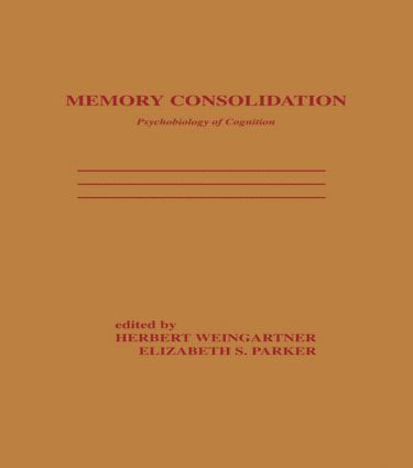 bokomslag Memory Consolidation