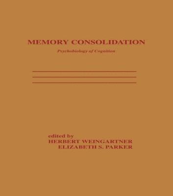 Memory Consolidation 1