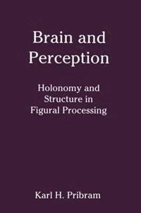 bokomslag Brain and Perception