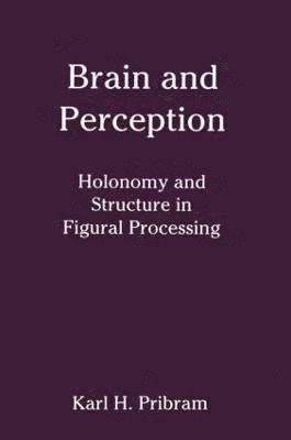 bokomslag Brain and Perception