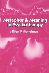 bokomslag Metaphor and Meaning in Psychotherapy