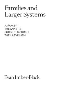 bokomslag Families and Larger Systems