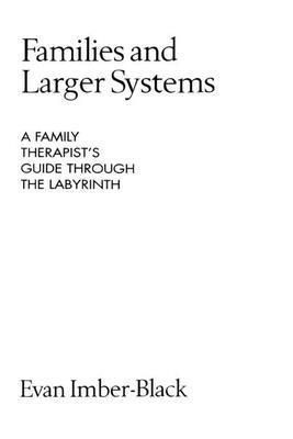bokomslag Families and Larger Systems