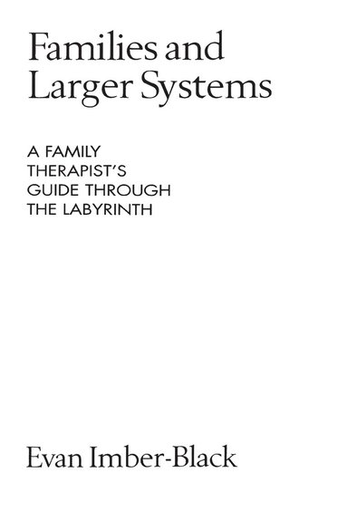 bokomslag Families and Larger Systems