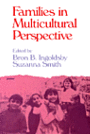bokomslag Families in Multicultural Perspective