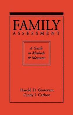 bokomslag Handbook Family Assessment