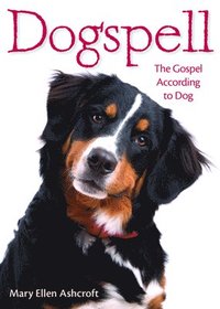 bokomslag Dogspell
