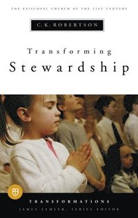 bokomslag Transforming Stewardship