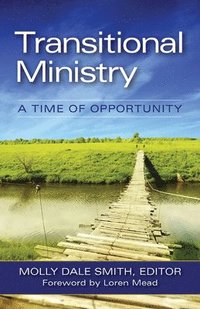 bokomslag Transitional Ministry