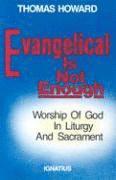 bokomslag Evangelical is Not Enough