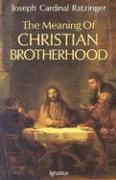 bokomslag The Meaning of Christian Brotherhood