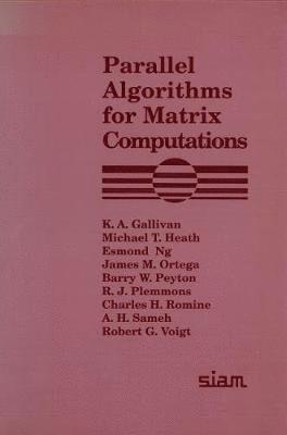 bokomslag Parallel Algorithms for Matrix Computations
