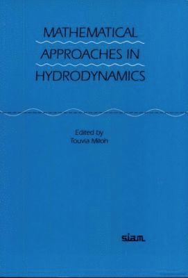 Touvia Miloh - Mathematical Approaches in Hydrodynamics, Häftad