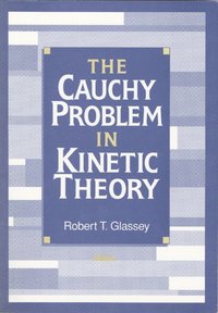 bokomslag The Cauchy Problem in Kinetic Theory