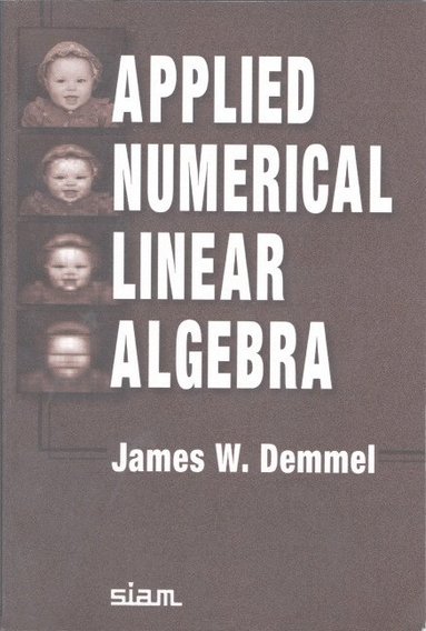 bokomslag Applied Numerical Linear Algebra