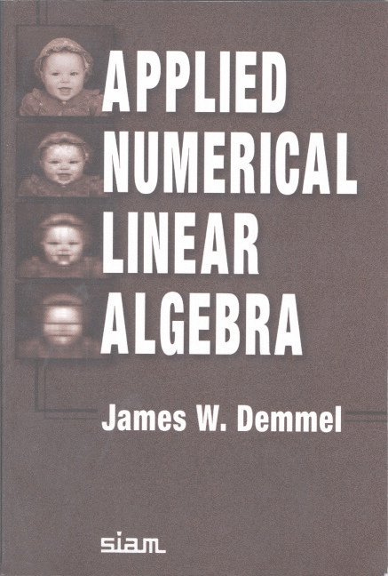 Applied Numerical Linear Algebra 1