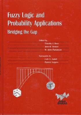 bokomslag Fuzzy Logic and Probability Applications