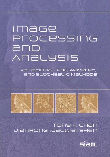 bokomslag Image Processing and Analysis: Variational, Pde, Wavelet, and Stochastic Methods