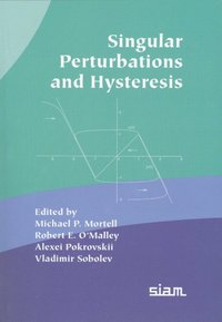 bokomslag Singular Perturbation and Hysteresis