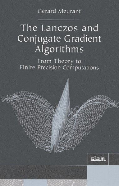 bokomslag The Lanczos and Conjugate Gradient Algorithms: From Theory to Finite Precision Computations