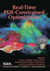 bokomslag Real-Time PDE-Constrained Optimization