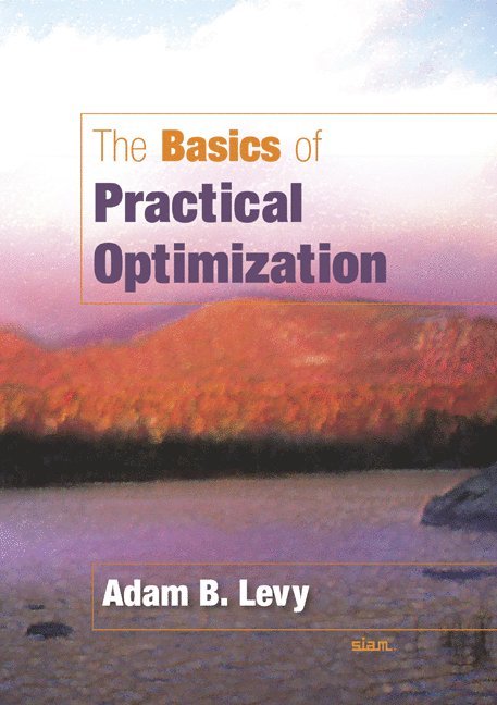 Adam B. Levy, Adam B Levy - The Basics of Practical Optimization, Häftad