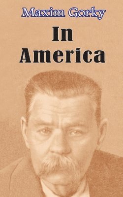 bokomslag In America