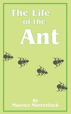 The Life of the Ant 1