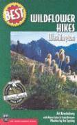 bokomslag Best Wildflower Hikes Washington