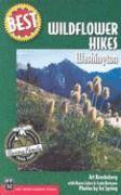 Best Wildflower Hikes Washington 1