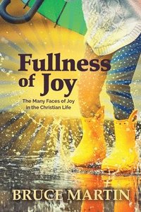 bokomslag Fullness of Joy