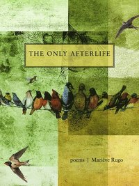 bokomslag Only Afterlife