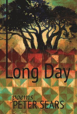 bokomslag Long Day